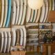 Your Guide to Mollusk Surf Shop Gear + More! | Learn to Surf & Skate: A Beginner's Step-by-Step Guide