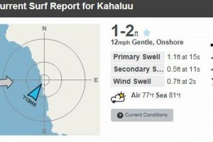 Kona Surf Report: Today's Kona Surf Conditions + Forecast | Learn to Surf & Skate: A Beginner's Step-by-Step Guide