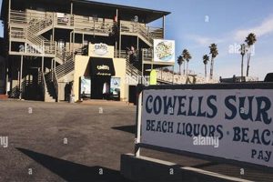 Gear Up: Cowells Surf Shop for Waves &amp; More! | Learn to Surf & Skate: A Beginner's Step-by-Step Guide