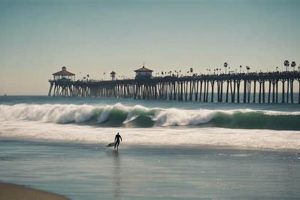 Your Guide: Surfing Huntington Beach + Tips &amp; Spots! | Learn to Surf & Skate: A Beginner's Step-by-Step Guide