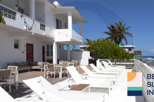 Your Boho Beach Getaway: Bella Surf Inn, Isabela | Learn to Surf & Skate: A Beginner's Step-by-Step Guide