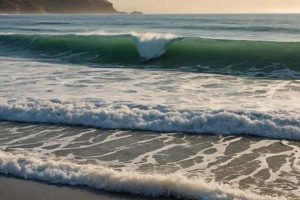 Your Doheny Surf Report: [Conditions] Today & This Week | Learn to Surf & Skate: A Beginner's Step-by-Step Guide