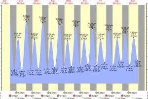 2024 Surf City Tides: Your Surf Chart & Forecast Learn to Surf & Skate: A Beginner's Step-by-Step Guide 2024 Surf City Tides: Your Surf Chart & Forecast | Learn to Surf & Skate: A Beginner's Step-by-Step Guide