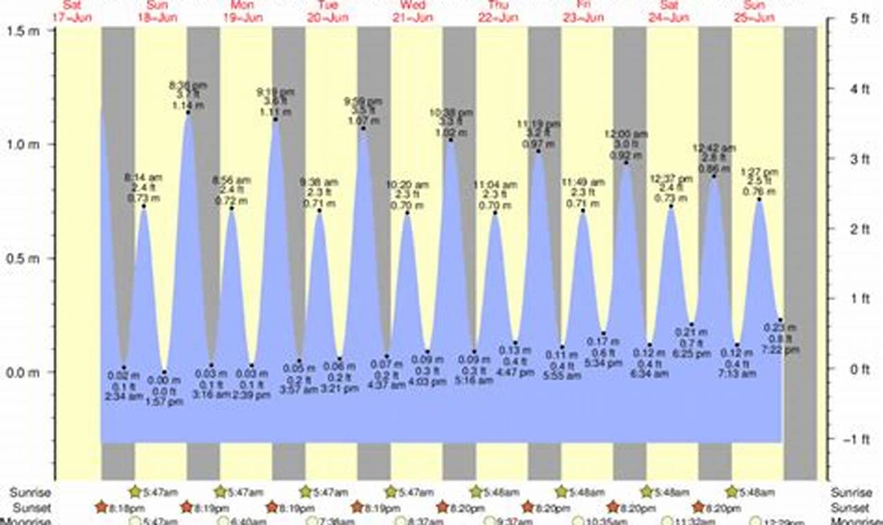2024 Surf City Tides: Your Surf Chart & Forecast Learn to Surf & Skate: A Beginner's Step-by-Step Guide 2024 Surf City Tides: Your Surf Chart & Forecast | Learn to Surf & Skate: A Beginner's Step-by-Step Guide