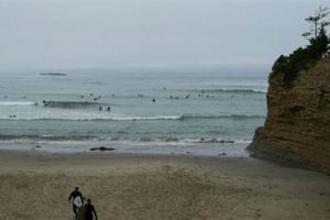 Otter Rock Surf Cam: Live Oregon Beach Views | Learn to Surf & Skate: A Beginner's Step-by-Step Guide