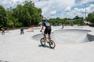 Gainesville Skate Park: Your Ultimate Local Skate Spot! | Learn to Surf & Skate: A Beginner's Step-by-Step Guide