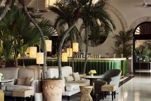 Dine at Surf Club Restaurant: Miami's Best Fine Dining | Learn to Surf & Skate: A Beginner's Step-by-Step Guide