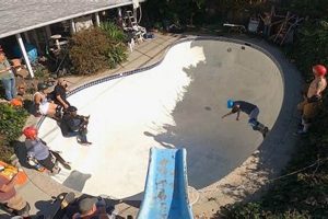 Tim Pool Skate Park Learn to Surf & Skate: A Beginner's Step-by-Step Guide Tim Pool Skate Park | Learn to Surf & Skate: A Beginner's Step-by-Step Guide