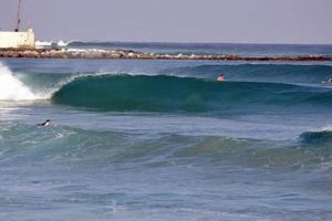 Your Jupiter Surf Report: [Conditions + Forecast] | Learn to Surf & Skate: A Beginner's Step-by-Step Guide