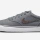 Best Nike SB Chron 2 Canvas Skate Shoes For Grip + Durability! | Learn to Surf & Skate: A Beginner's Step-by-Step Guide