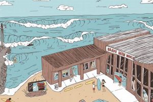 Brave New World Surf Shop: Gear Up & Ride On! | Learn to Surf & Skate: A Beginner's Step-by-Step Guide