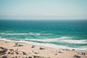 Manresa Surf Report: Beach Conditions &amp; Forecast | Learn to Surf & Skate: A Beginner's Step-by-Step Guide