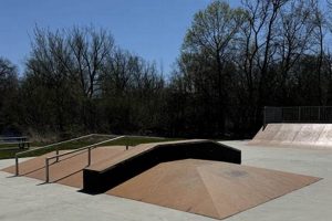 Your Guide to the City of Auburn Hills Skate Park Fun! | Learn to Surf & Skate: A Beginner's Step-by-Step Guide