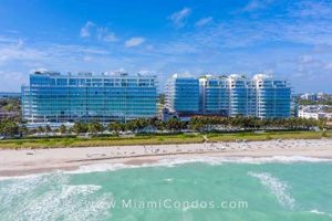 Discover Miami Beach Surf Clubs: Luxury & Beachfront Bliss | Learn to Surf & Skate: A Beginner's Step-by-Step Guide