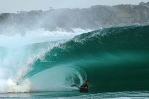 Maui Surf Report: Best Waves & Conditions Now! | Learn to Surf & Skate: A Beginner's Step-by-Step Guide