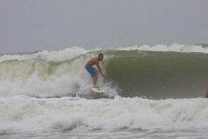Best Surf Shop Corpus Christi TX: Gear & More! | Learn to Surf & Skate: A Beginner's Step-by-Step Guide