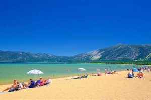 Pope Beach Surf Stats: Your Guide + Forecast | Learn to Surf & Skate: A Beginner's Step-by-Step Guide