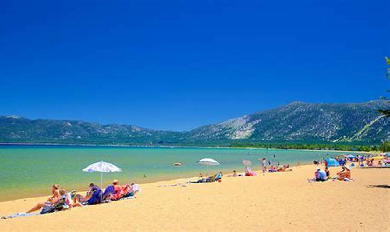 Pope Beach Surf Stats: Your Guide + Forecast | Learn to Surf & Skate: A Beginner's Step-by-Step Guide