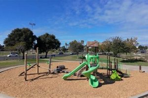 Best Skate Parks in Santa Fe: Your Guide to Ramps & Rails | Learn to Surf & Skate: A Beginner's Step-by-Step Guide