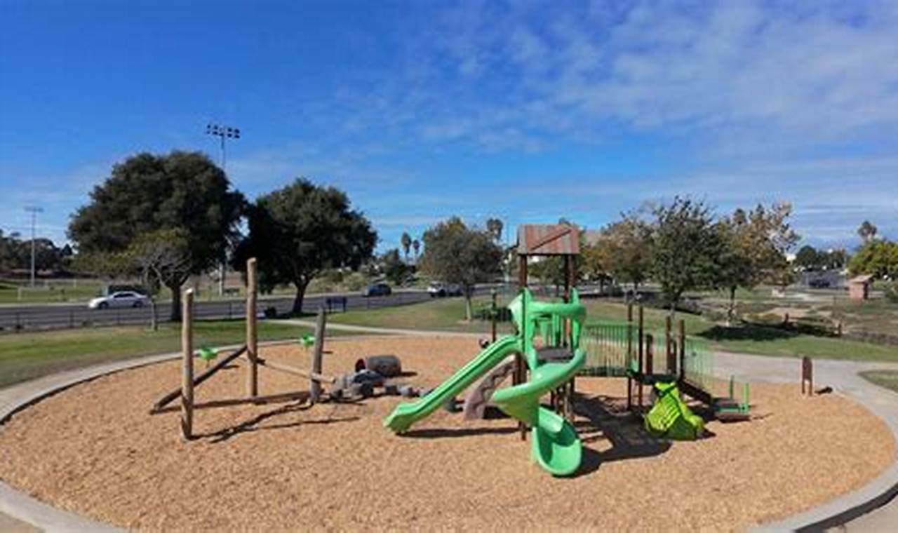 Best Skate Parks in Santa Fe: Your Guide to Ramps & Rails | Learn to Surf & Skate: A Beginner's Step-by-Step Guide