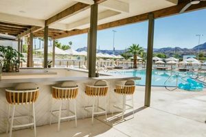 Join The Surf Club: Benefits & Community | Learn to Surf & Skate: A Beginner's Step-by-Step Guide