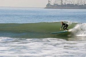 Your Guide: Long Beach Surfing Tips & Spots! | Learn to Surf & Skate: A Beginner's Step-by-Step Guide