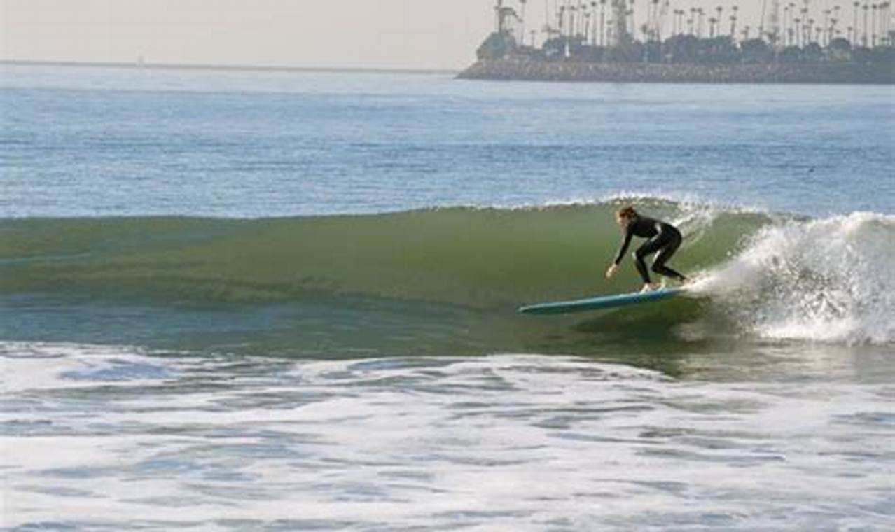 Your Guide: Long Beach Surfing Tips & Spots! | Learn to Surf & Skate: A Beginner's Step-by-Step Guide