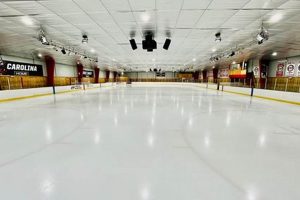 Raleigh Ice Skating: Lessons, Rinks & Fun! Learn to Surf & Skate: A Beginner's Step-by-Step Guide Raleigh Ice Skating: Lessons, Rinks & Fun! | Learn to Surf & Skate: A Beginner's Step-by-Step Guide