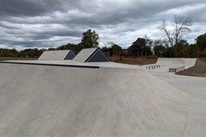 Best Buffalo Skate Parks: NY Local Spots & More | Learn to Surf & Skate: A Beginner's Step-by-Step Guide