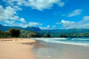 Hawaii Surf: News Now Surf Report & Wave Updates | Learn to Surf & Skate: A Beginner's Step-by-Step Guide