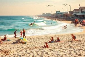 Explore Surf City Attractions: Guide &amp; More | Learn to Surf & Skate: A Beginner's Step-by-Step Guide