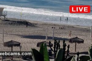 Live Encinitas Surf Cam: Check Surf Conditions Now! | Learn to Surf & Skate: A Beginner's Step-by-Step Guide