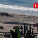 Live Encinitas Surf Cam: Check Surf Conditions Now! | Learn to Surf & Skate: A Beginner's Step-by-Step Guide
