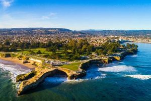 Your Daily Steamer Lane Surf Report: [Conditions] | Learn to Surf & Skate: A Beginner's Step-by-Step Guide