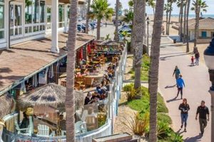 Best Surf Shops in Los Angeles, CA: Your Guide Learn to Surf & Skate: A Beginner's Step-by-Step Guide Best Surf Shops in Los Angeles, CA: Your Guide | Learn to Surf & Skate: A Beginner's Step-by-Step Guide