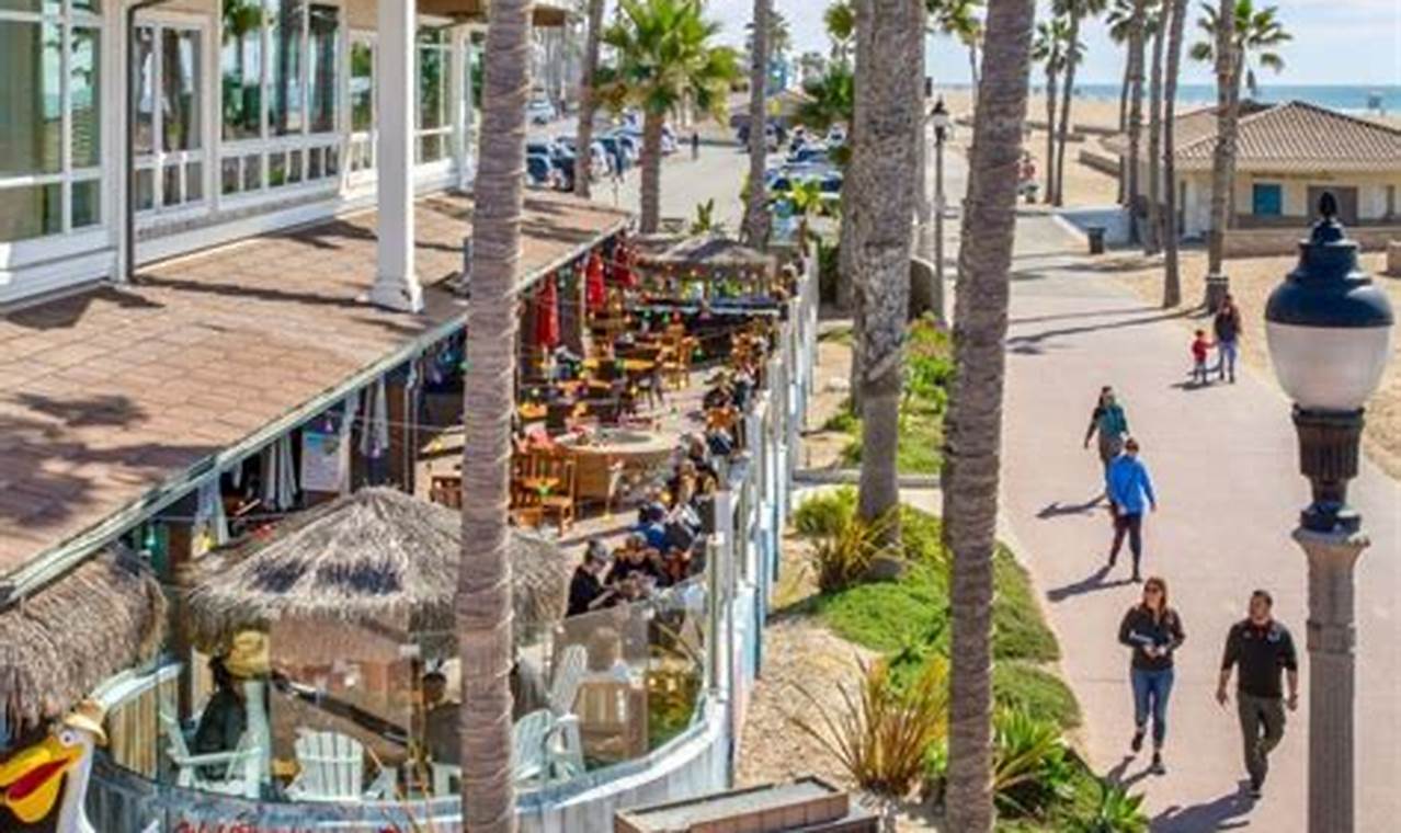 Best Surf Shops in Los Angeles, CA: Your Guide Learn to Surf & Skate: A Beginner's Step-by-Step Guide Best Surf Shops in Los Angeles, CA: Your Guide | Learn to Surf & Skate: A Beginner's Step-by-Step Guide