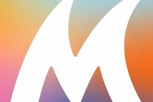 Your Guide: Churches Surf Report - Wave Watch Learn to Surf & Skate: A Beginner's Step-by-Step Guide Your Guide: Churches Surf Report - Wave Watch | Learn to Surf & Skate: A Beginner's Step-by-Step Guide