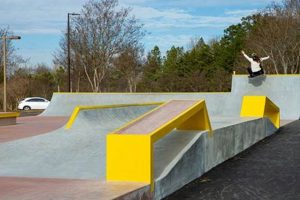 Charlotte's Best Skate Parks: Find Your Grind in NC! | Learn to Surf & Skate: A Beginner's Step-by-Step Guide
