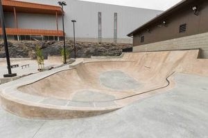 Spokane Skate Parks: Your Ultimate Guide to Shred Spots! | Learn to Surf & Skate: A Beginner's Step-by-Step Guide