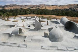 Build Your Dream Outdoor Skate Park: Designs & Ideas | Learn to Surf & Skate: A Beginner's Step-by-Step Guide