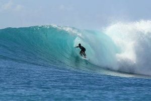 Your Guide: New Smyrna Beach Florida Surfing Hotspot! | Learn to Surf & Skate: A Beginner's Step-by-Step Guide