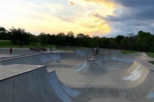 Your Berry Hill Skate Park Guide: Tips & Tricks | Learn to Surf & Skate: A Beginner's Step-by-Step Guide
