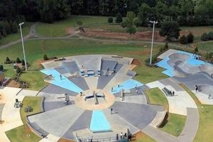 Kennesaw Skate Park | Learn to Surf & Skate: A Beginner's Step-by-Step Guide
