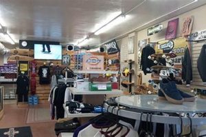 Your Local blx Skate Shop Tucson: Gear & Community | Learn to Surf & Skate: A Beginner's Step-by-Step Guide