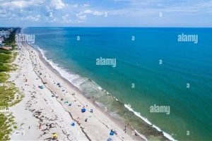 Indialantic Surf: Your Florida Surf Report + Forecast | Learn to Surf & Skate: A Beginner's Step-by-Step Guide