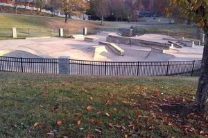 Your Guide to Johnson City Skate Park Fun! | Learn to Surf & Skate: A Beginner's Step-by-Step Guide