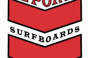 Your Guide to El Porto Surf Shop & Surf Club Fun! | Learn to Surf & Skate: A Beginner's Step-by-Step Guide