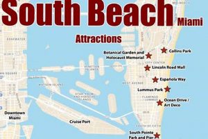 Your Miami Surf Report: South Beach Waves Now! | Learn to Surf & Skate: A Beginner's Step-by-Step Guide