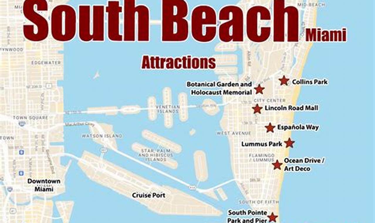 Your Miami Surf Report: South Beach Waves Now! | Learn to Surf & Skate: A Beginner's Step-by-Step Guide