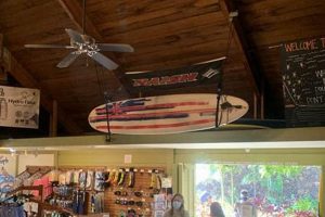 Your Guide: Best Maui Surf Shop Gear & Lessons | Learn to Surf & Skate: A Beginner's Step-by-Step Guide